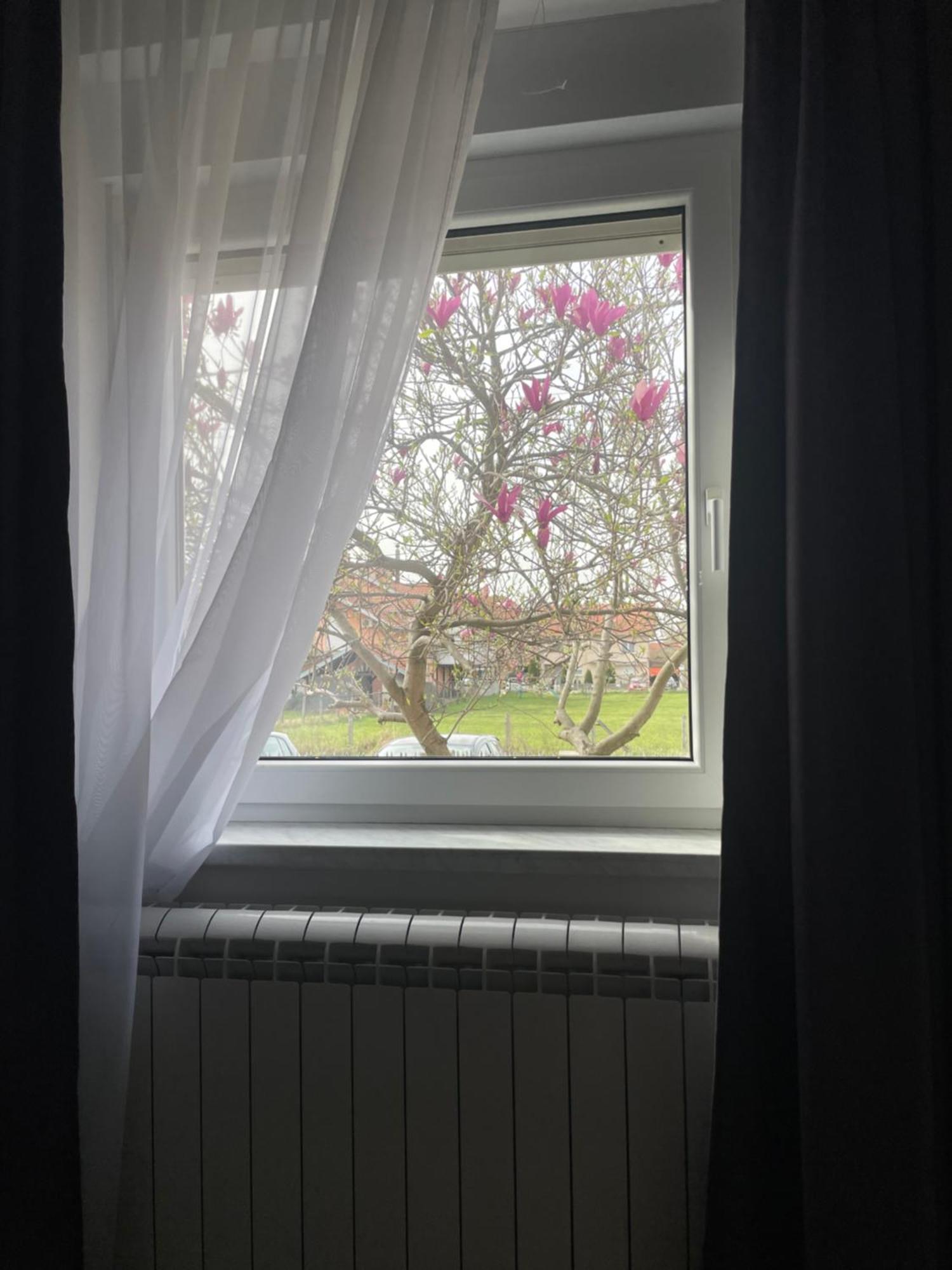 Deluxe Magnolia 2